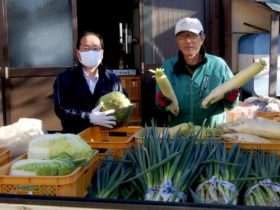【初めての人必見】大和芋は生でも食べれる！美味しい食べ方と下準備ガイド