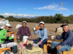 大和芋・山芋・長芋・自然薯の違いを解説！特徴・味・調理法をやさしくまとめました