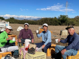 大和芋・山芋・長芋・自然薯の違いを解説！特徴・味・調理法をやさしくまとめました